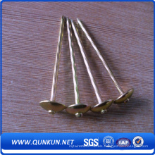 High Quality Bwg9*2.5" Galvanized Roofing Nail